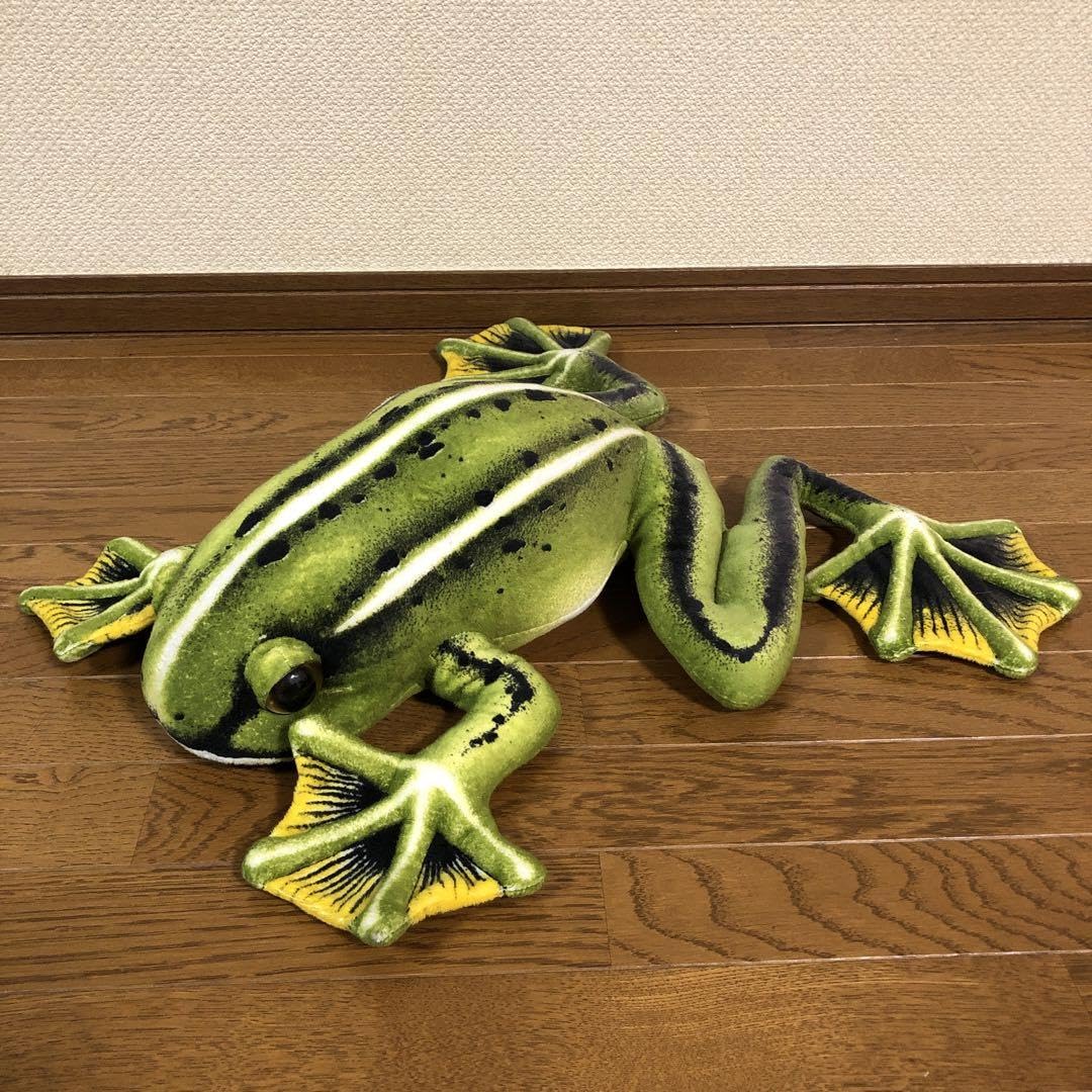 カエル 蛙 ぬいぐるみ BIG Amazon.co.jp: リアル BIG カエル 蛙 ぬいぐるみ : おもちゃ